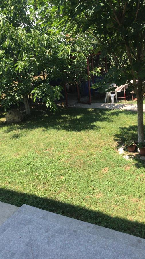 Villa Rosa Năvodari Eksteriør bilde